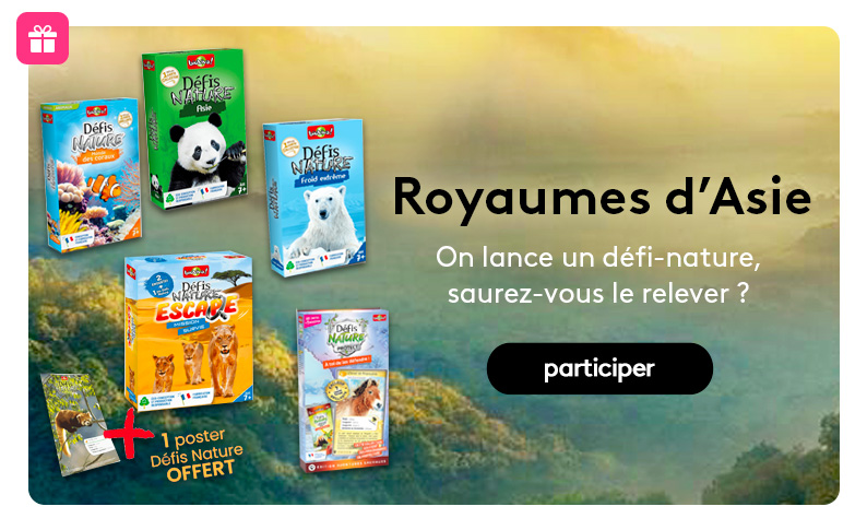 Dotation etvous documentaire Royaumes d'Asie